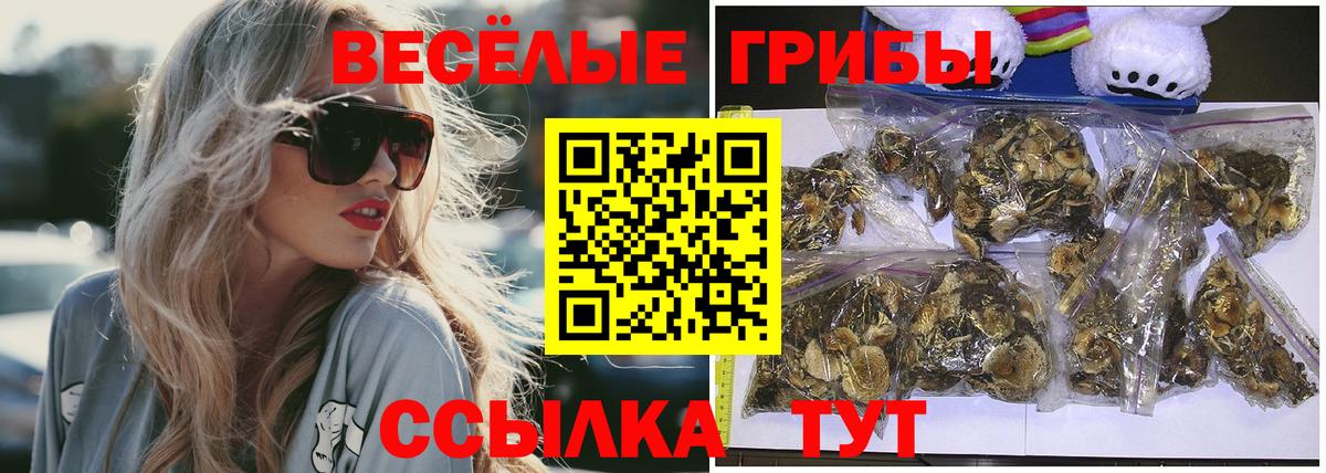 Псилоцибиновые грибы MAGIC MUSHROOMS  Вход с VPN  Галлюциногенные грибы мухоморы  Нижневартовск 